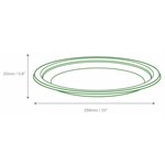 Bagasse Plate 10
