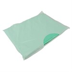 Apron Disp Green 27x42