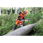 Felling Wedge 5