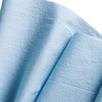 Blue Roll L20 Extra+Wypa 2Ply (500Sht) 7301 KC