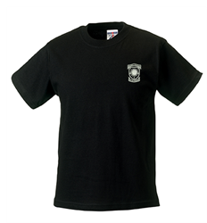 Dingwall Academy T-Shirt