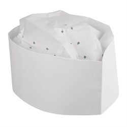 Hat Forage Style White (Box100) A255/466