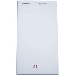 Check Pad White (100) Duplicate PAD15-SP