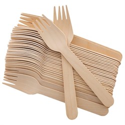 Disposable Cutlery Image