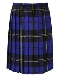Blue Tartan Pleat Skirt