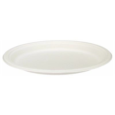 Bagasse Plate 10